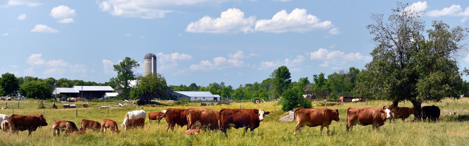 Farm Tours