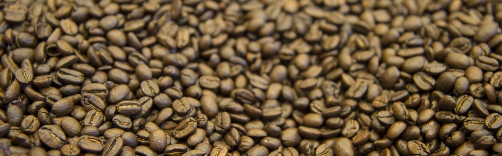 Coffee & Antique Tours in Lanark County